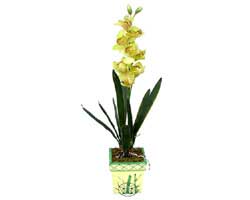 zel Yapay Orkide Sari  zmir Seluk cicekciler , cicek siparisi 