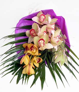  zmir Bornova iek sat  1 adet dal orkide buket halinde sunulmakta
