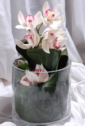  zmir Bornova iek gnderme sitemiz gvenlidir  Cam yada mika vazo ierisinde tek dal orkide