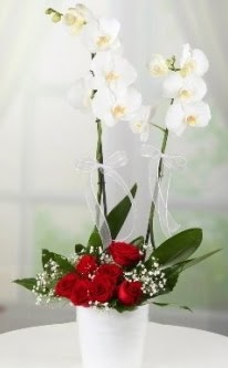 2 dall beyaz orkide 7 adet krmz gl  zmir Aliaa ucuz iek gnder 