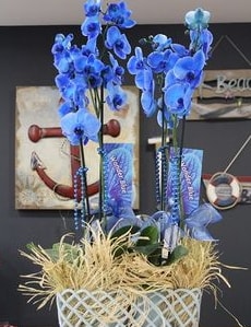 4 dall zel mavi orkide  zmir Bayrakl iek yolla 